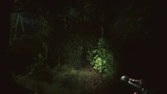 Forlorn: The mysteries of Highshadowland screenshot 5