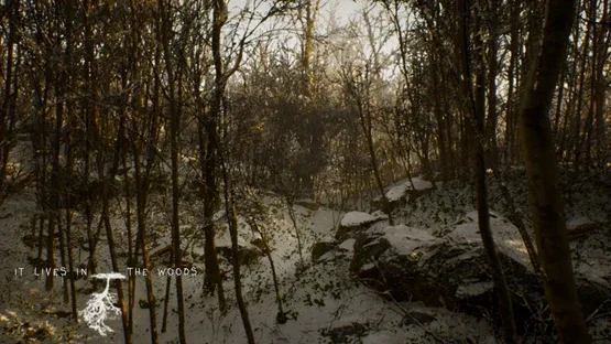 It Lives in the Woods screenshot 4