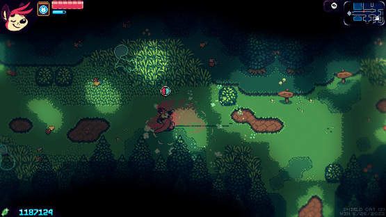 Shield Cat Screenshot