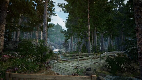 For What Will Come cover