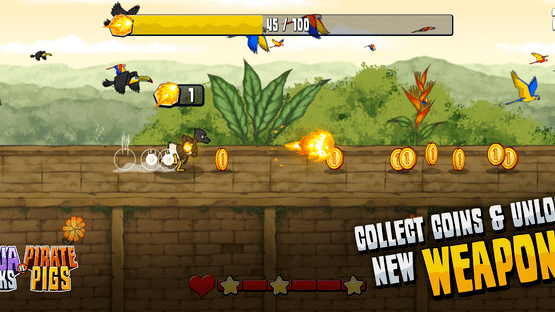 Ninja Ducks vs Pirate Pigs Screenshot