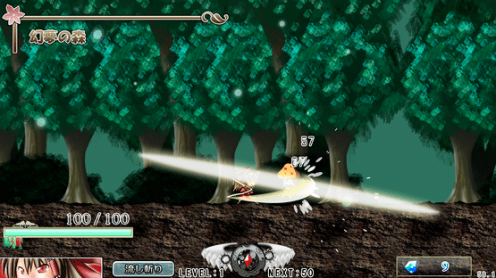 Touhou Mumyouken: Unorganized Heroes Screenshot