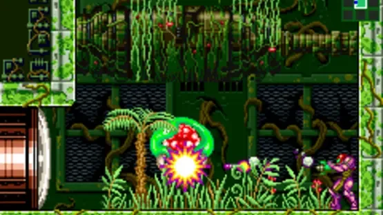 Thumbnail 9