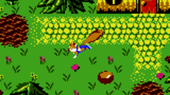 Conker's Pocket Tales Screenshot