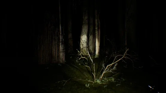 Search 4 Bigfoot screenshot 1
