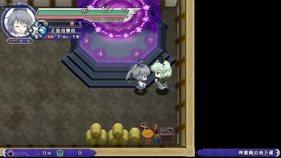 Screenshot 12