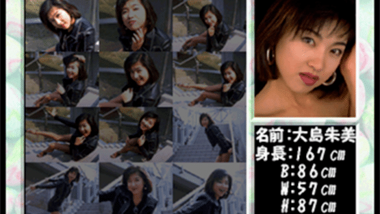 Private Idol Disc Vol. 3: Oshima Akemi Screenshot