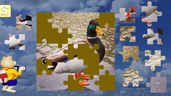 Jigsaw Puzzle: Belgium Through the Lens screenshot 2
