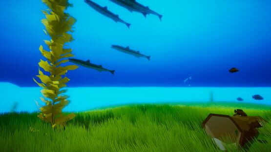 screenshot 21