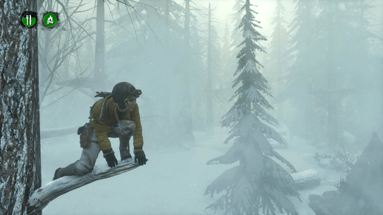 Rise of the Tomb Raider: Endurance Mode Screenshot