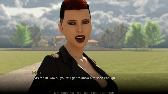 The Tennis Master Screenshot