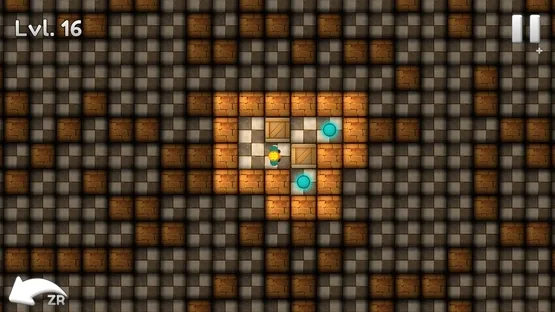 Sokoban Block Puzzle screenshot 5