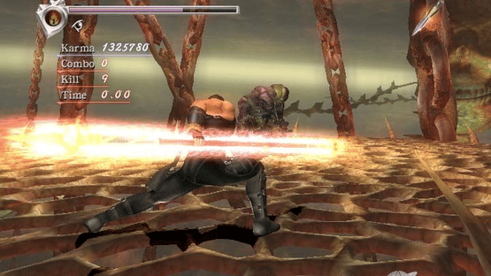 Ninja Gaiden Hurricane Pack II Screenshot