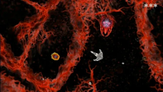 Microscopic screenshot 5