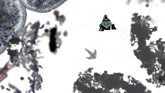 Microscopic screenshot 4