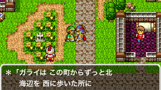 Dragon Quest Screenshot