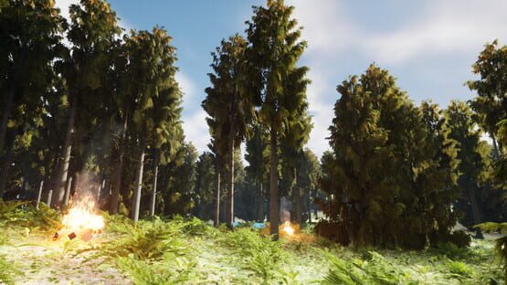 Thumbnail 13