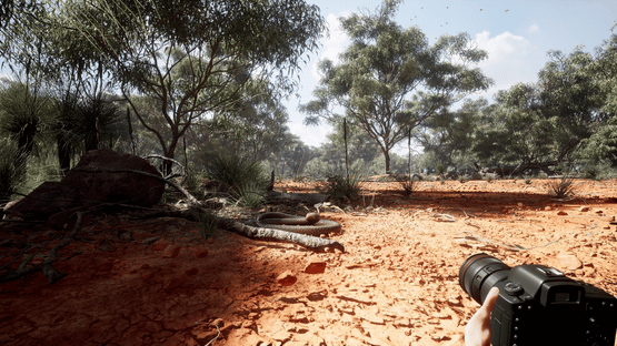 Photography Simulator Screenshot