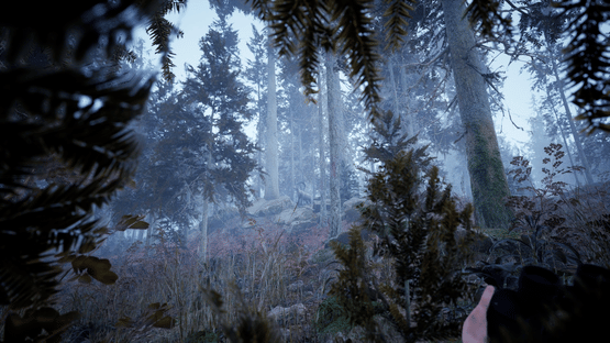 Photography Simulator Screenshot