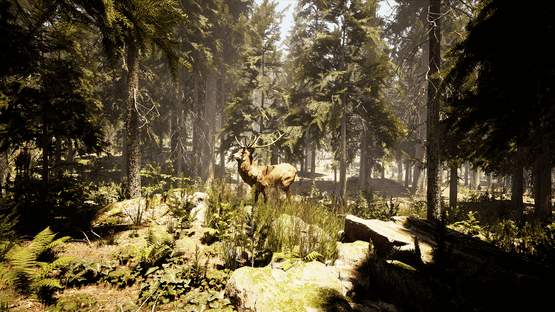 Photography Simulator Screenshot