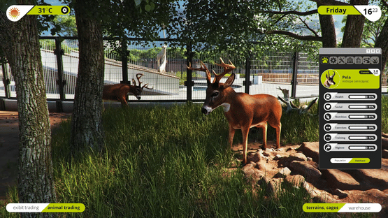 Zoo Simulator Screenshot