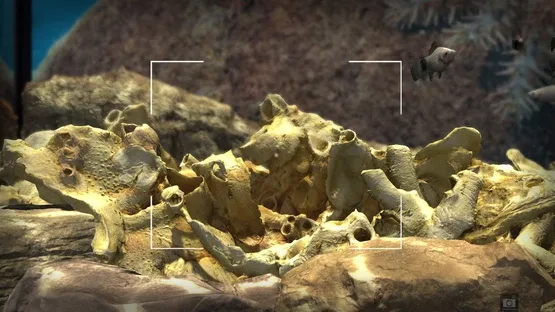 Snapshot Aquarium screenshot 6