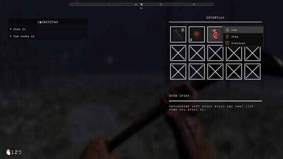 Thumbnail 13