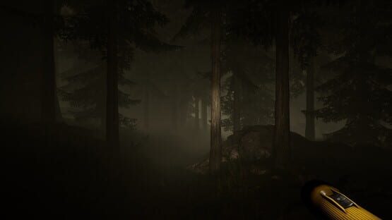 Thumbnail 11