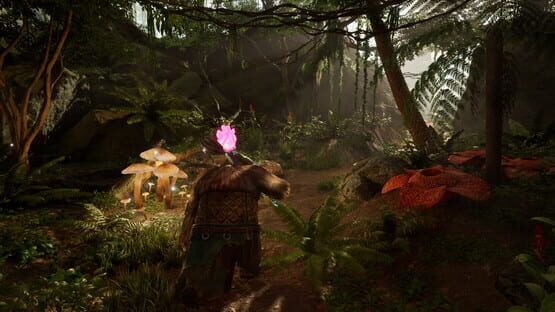 screenshot 19