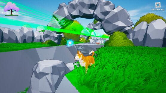 screenshot 13
