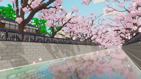 KiNoKoe: Tree's Voice cover