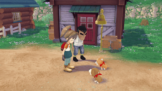 Story of Seasons: A Wonderful Life Screenshot