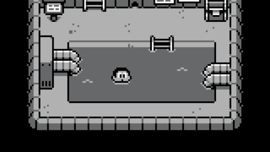 Dog's Muck Island Screenshot