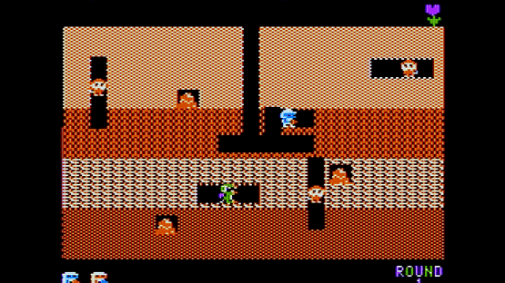 Dig Dug Screenshot