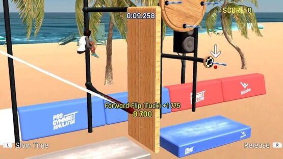Pro Gymnast Simulator + Brawl Chess screenshot 6