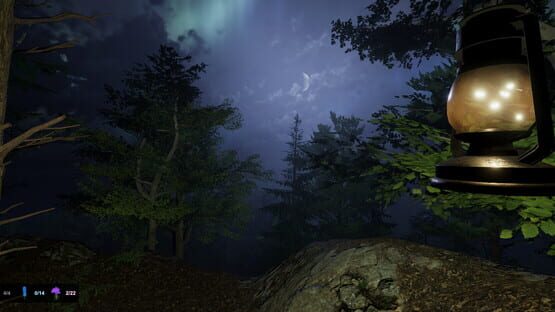 Thumbnail 13
