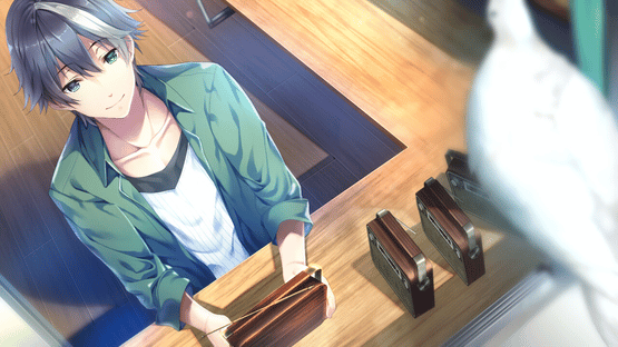 The Future Radio and the Artificial Pigeons Screenshot
