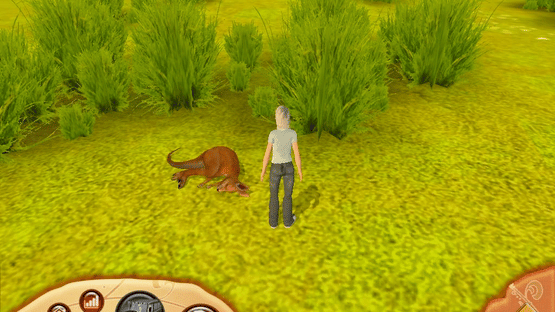 Paws & Claws Pet Vet: Australian Adventures Screenshot