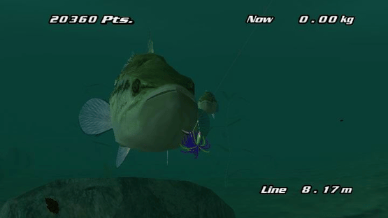 Pro Cast Sports Fishing Screenshot