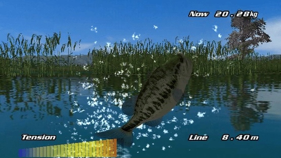 Pro Cast Sports Fishing Screenshot