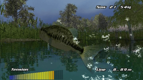 Pro Cast Sports Fishing Screenshot