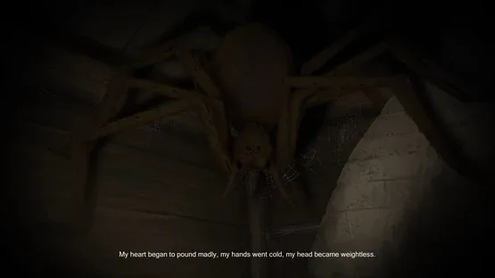 Evard the Hermit: Through Fears screenshot 12