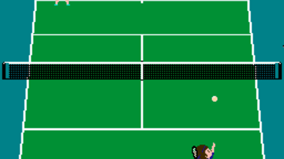 Family Tennis Screenshot