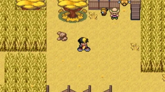 Pokémon Empyrean screenshot 16