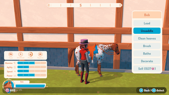 My Life: Riding Stables 3 Screenshot