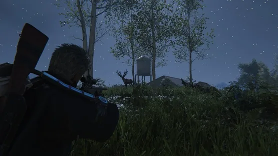 Thumbnail 11