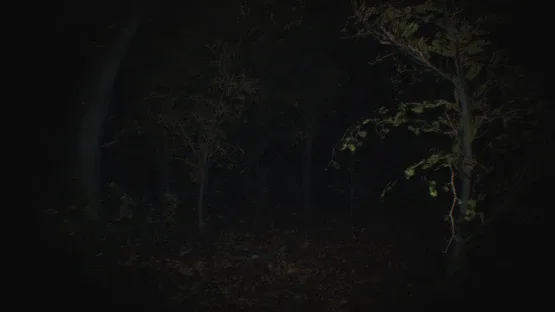 Paranormal Tales screenshot 1