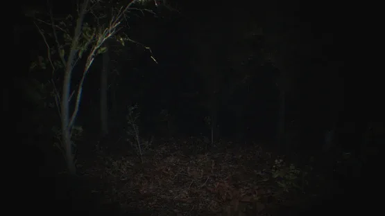 Paranormal Tales screenshot 4
