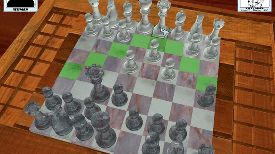 3D Chess Screenshot