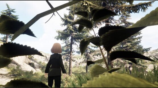 Trachi: Authority cover